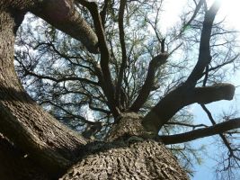 p1070777.jpg